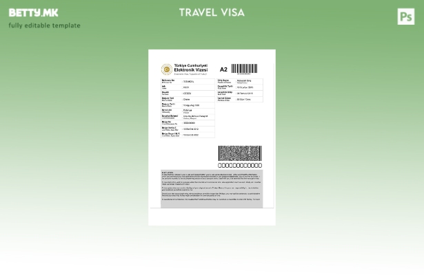 Модерен стил шаблон за турска виза